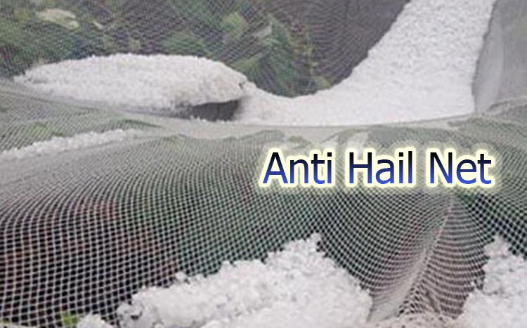 Anti Hail Netin toiminta