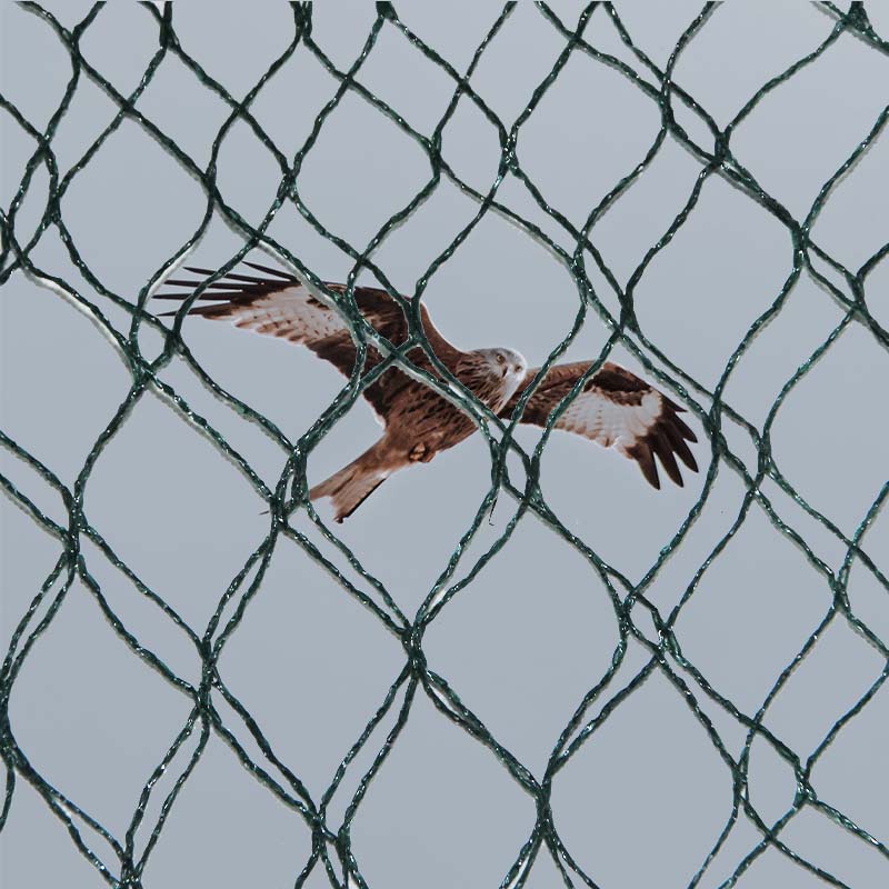 Mitkä ovat lintujen ehkäisyverkkojen materiaalivalinnat ja edut ja haitat?