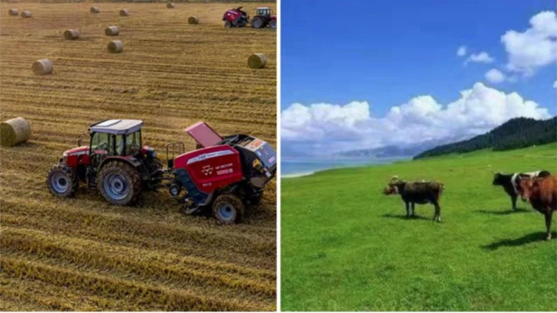 Paaliverkkokääreen käyttö maataloustoiminnassa