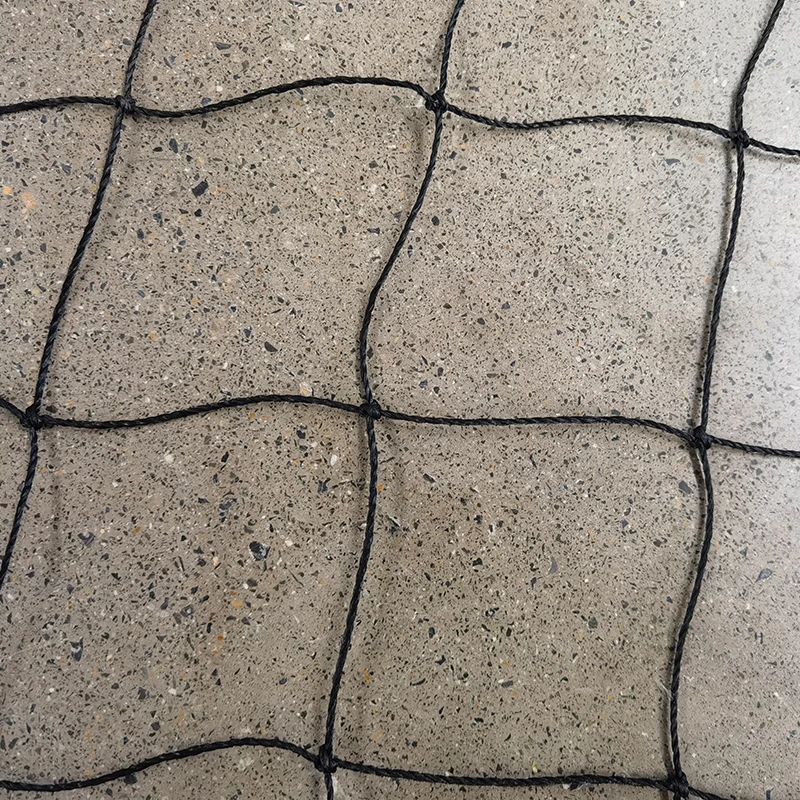 Krikettiverkkojen rooli