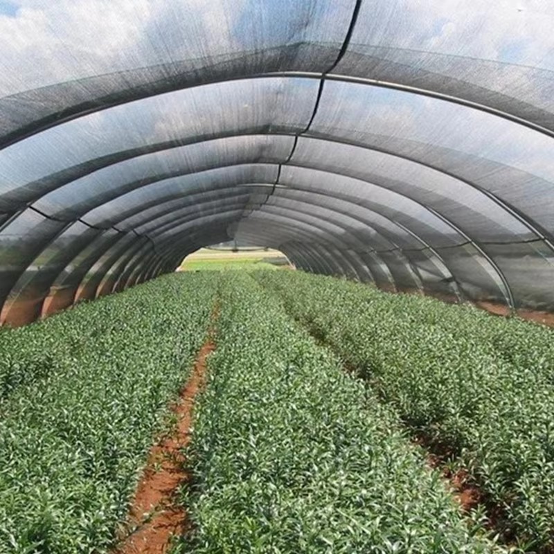 Onko varjostuskankaan viilentävä vaikutus hyvä?