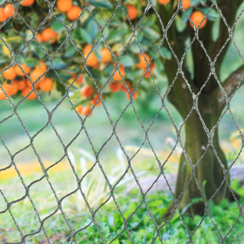 Suojaa satoasi, omaisuuttasi ja investointejasi raskaalla lintuverkollamme!